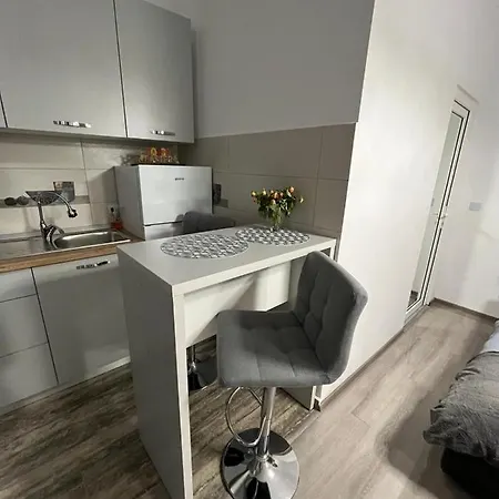 Central Studio Apartment Brasov